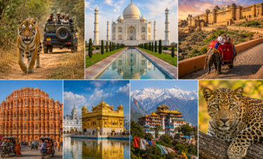 Northern India Safari Tour